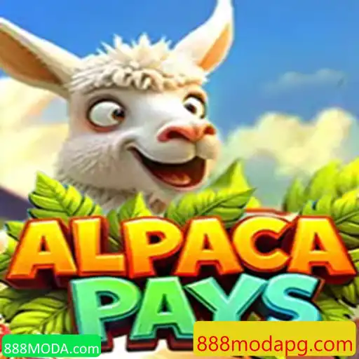 Descubra o Fascinante Mundo de AlpacaPays na 888MODA.com